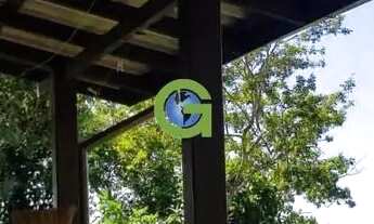 Imagem 3: Ótima casa à venda em Ribeirão, Paulo Lopes