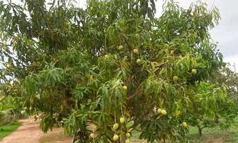 Imagem 7: Chácara ! Aceito imóveis