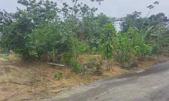 Imagem 3: VENDE-SE LOTES/SÃO 4 LOTES/METRAGEM DE 2.400 METROS QUADRADOS/TARUMÃ