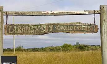 Imagem 2: Oportunidade única! Fazenda com 28 ha, desocupada à venda em Viamão, Rio Grande do Sul