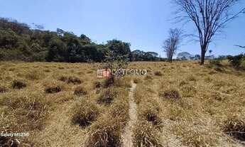 Imagem 3: Fazenda Rural à venda, Zona Rural, Jaraguá - FA0006