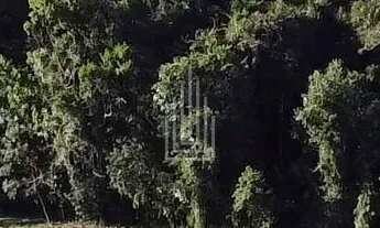 Imagem 2: Terreno à venda no Arroio Dourado em Foz do Iguaçu