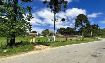 Imagem 2: Vendas Terreno Campo Largo PR