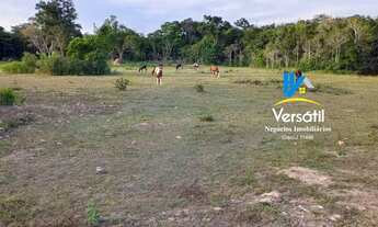 Imagem 6: CHÁCARA COM 12.8 HA À VENDA -5 km de Cuiabá/MT