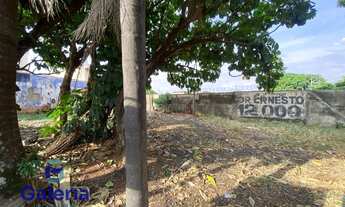 Imagem 7: Terreno para alugar, 300m² - Jardim São Luiz