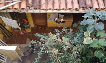 Imagem 3: Casa/Sobrado Casa com 2 dormitórios