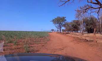 Imagem 2: Fazenda de 150 alqueires (360 hectares), com 100 alqueres plantado de cana em Ub