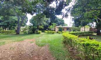 Imagem 5: Chácara 20.000 m² Formada Núcleo Rural Casa Grande Gama DF