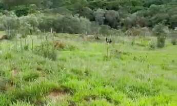 Imagem 6: TERRENO EM LOCALIZAÇÃO PRIVILEGIADA À VENDA!