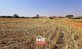 Imagem 6: Chácara bem localizada e com grande potencial de produção