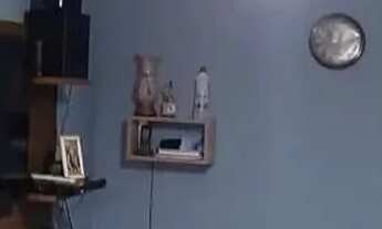 Imagem 7: Apartamento à venda em campestre, piracicaba 2 quartos 52m²