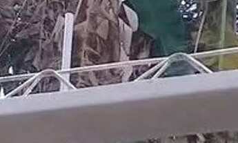 Imagem 4: Muro Galpão / depósito com venda com preço sob consulta