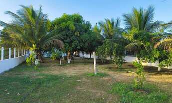 Imagem 5: Vendo chácara em Itaporanga