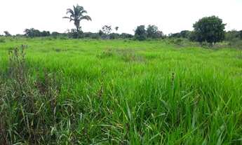 Imagem: Chácara 13 alqueires