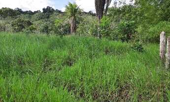 Imagem 6: Vendo Fazenda Em Nazaré Das Farinha
