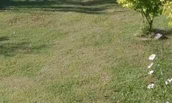 Imagem 7: Casa com 3 dormitórios à venda, 140 m² por R$ 650.000,00 - Cascatinha - Nova Friburgo/RJ