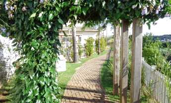 Imagem 7: Casa - Parque Imperador - Campinas