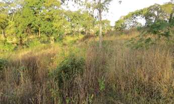 Imagem 4: Vespasiano - AREA - Angicos