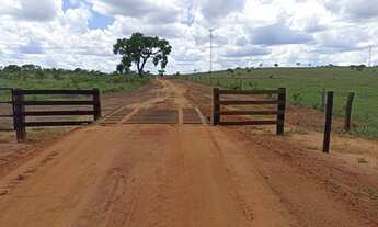 Imagem: Fazenda no Alto Taquari - Mato Grosso. Lt