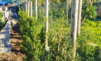 Imagem 7: Marina Chácara com venda por R$480.000