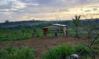 Imagem 2: Vende-se Sitio 16 alqueires