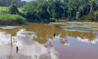 Imagem 3: 25.5 Alqueires Escriturado 32 Km da Cidade de Ariquemes