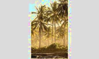 Imagem: Que tal morar onde você passa Férias