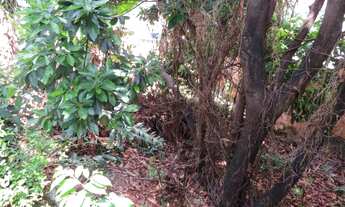 Imagem 4: Lote 360 m2 Ouro Minas R$ 350.000,00