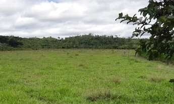 Imagem 7: Vende-se sitio Guarantã do norte - MT