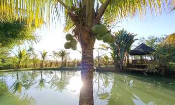 Imagem: Linda Chácara em Guapó GO !