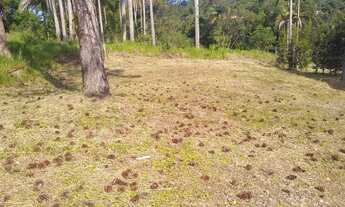 Imagem 7: Terreno para Venda, Mogi das Cruzes / SP
