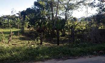 Imagem 3: Vendo terreno em barrão de irri.ária comercial.aceito proposta vem que tem conversar