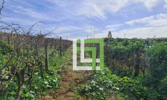 Imagem 5: Sítio à venda, 35000 m² por R$ 8.750.000,00 - Bom Jardim - Jundiaí/SP