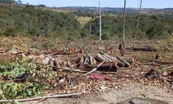 Imagem 2: Chácara em abadiania nova