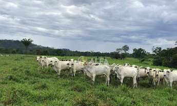 Imagem: Gio- Crédito Rural