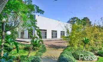 Imagem 3: PORTO ALEGRE - Conjunto Comercial/Sala - Chapéu do Sol