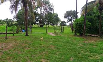 Imagem 2: Fazenda no piau Chácara com venda com preço sob consulta