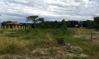 Imagem 3: Terreno com 375,00 m2 aterrado, distante 150 m da av. beira mar. Praia do Ervino