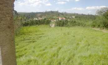 Imagem 3: Lote/Terreno para venda com 1000 metros quadrados em Centro - Santa Isabel - SP