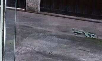 Imagem 4: Casa de 2Q e garagem na Estacao