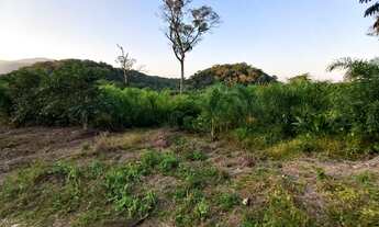 Imagem 2: Sítio 3,5 alqueires Plano ( Willian Ricardo