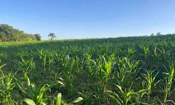 Imagem 3: Terrenos com vista pro Lago !Direto com o proprietário-Bp