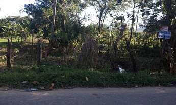 Imagem 2: Vendo terreno em barrão de irri.ária comercial.aceito proposta vem que tem conversar