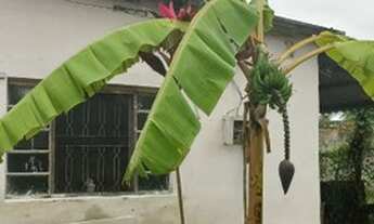 Imagem 3: COMPRE SEU SONHO HJ !!! CASA DOC OK SOMENTE R$ 95 MIL