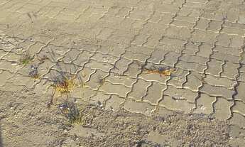 Imagem 4: Terreno no carvão