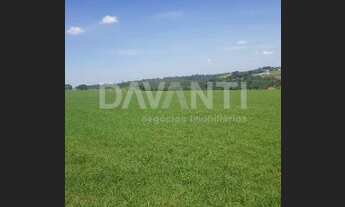 Imagem 4: área - Centro - Holambra