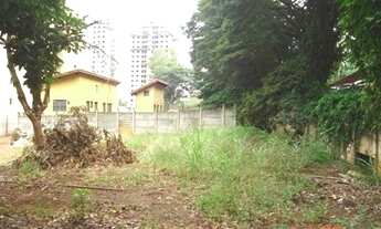 Imagem: área - Mansões Santo Antonio - Campinas