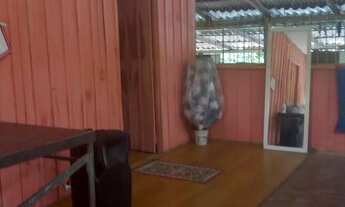 Imagem 5: SÍTIO/CHÁCARA NA BR 174( KM 41