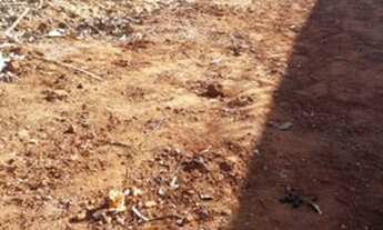 Imagem 6: Terreno Castelinho 75 mil