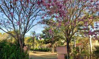 Imagem: Adolfo - Chácara - Jardim Morumbi